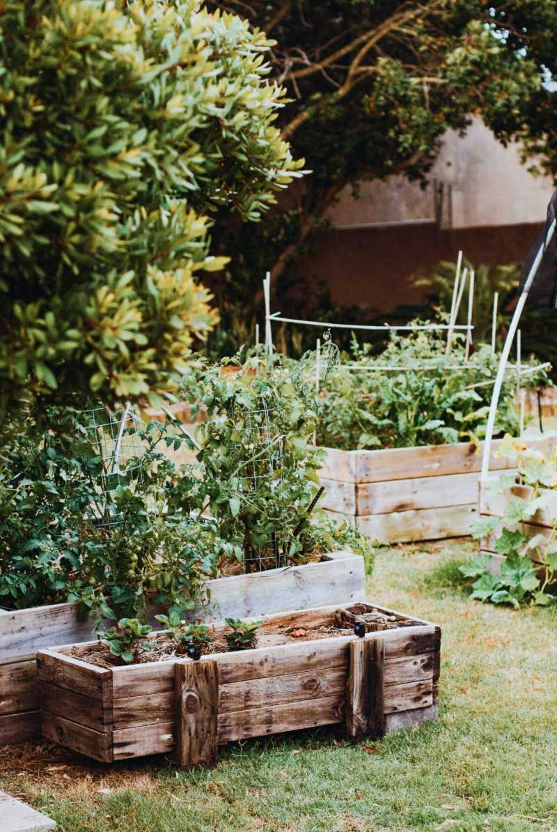 Van water naar&nbsp;wijn